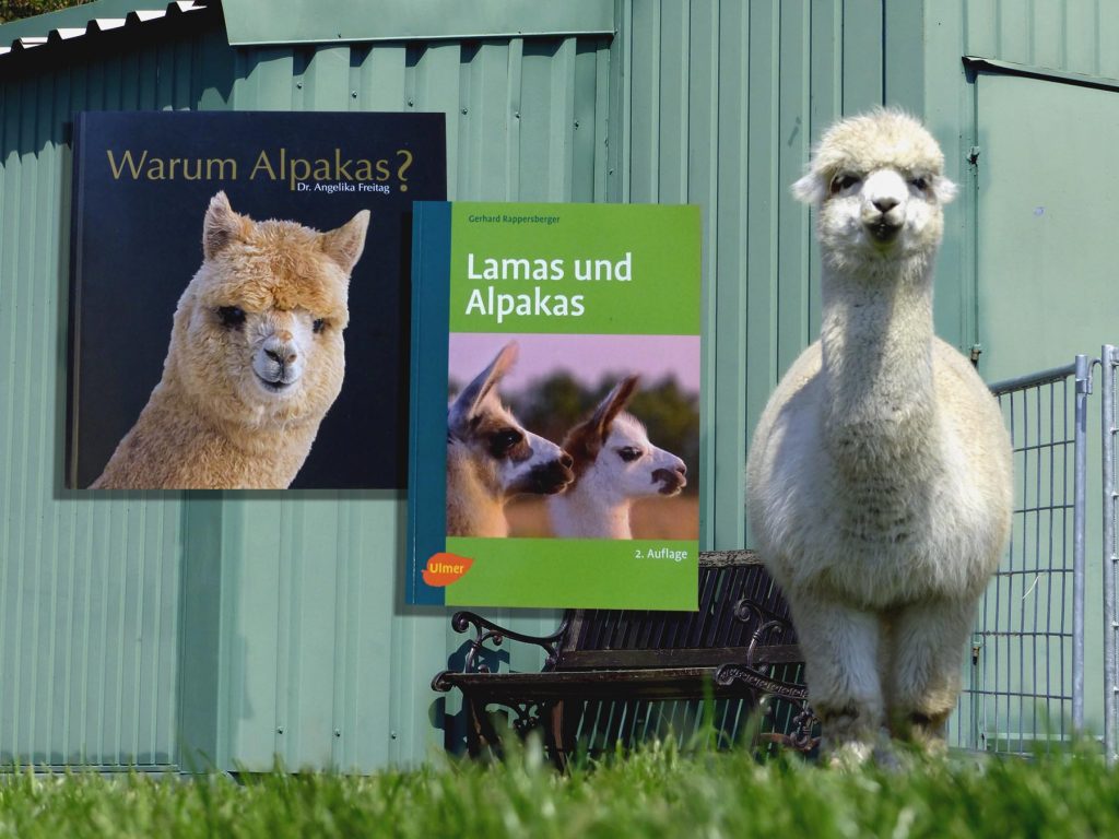 Buchempfehlung für die Alpakahaltung