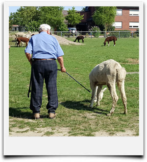 Senioren auf der Alpakafarm