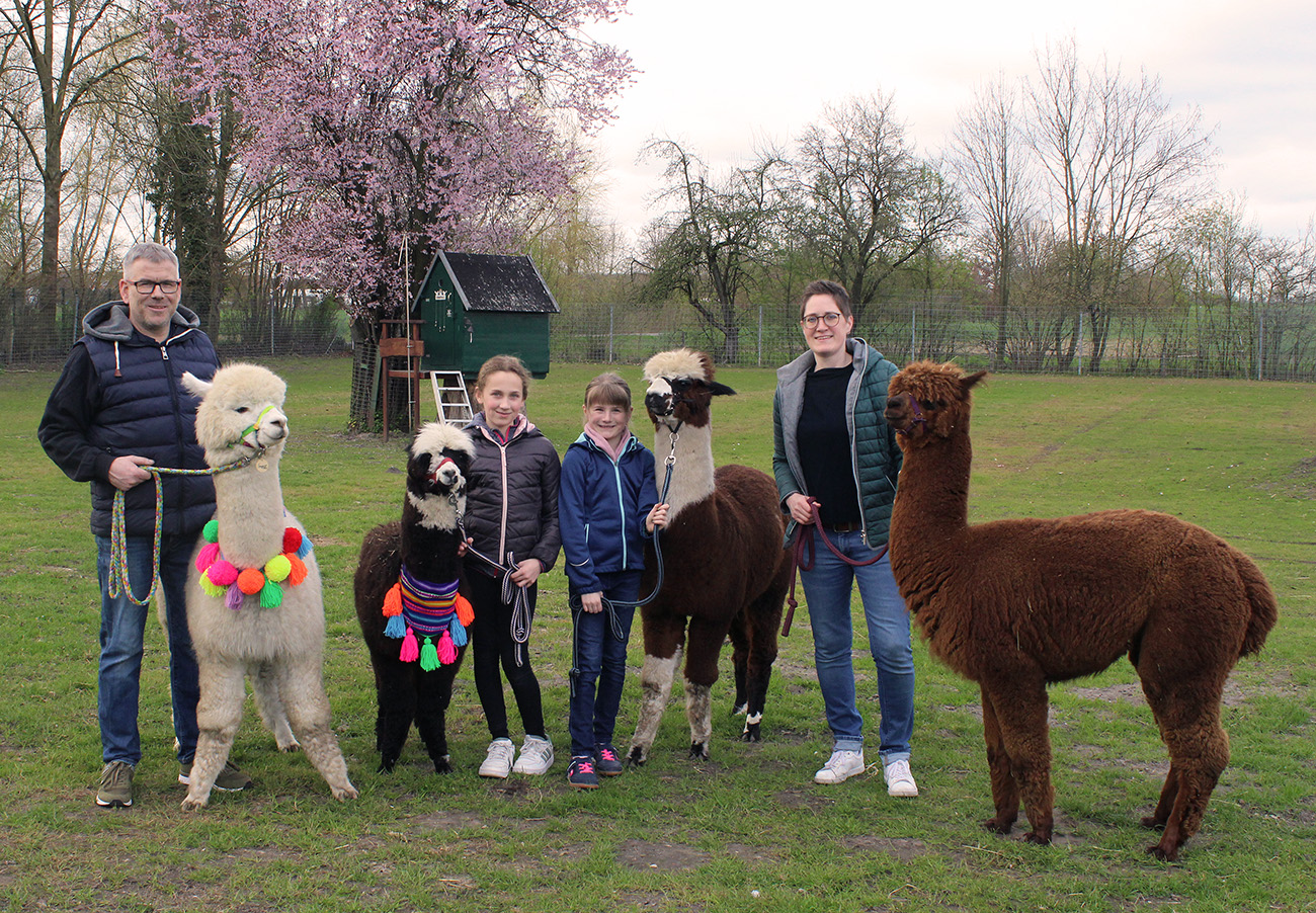 Familie Hinse und die Tegelfeld Alpakas