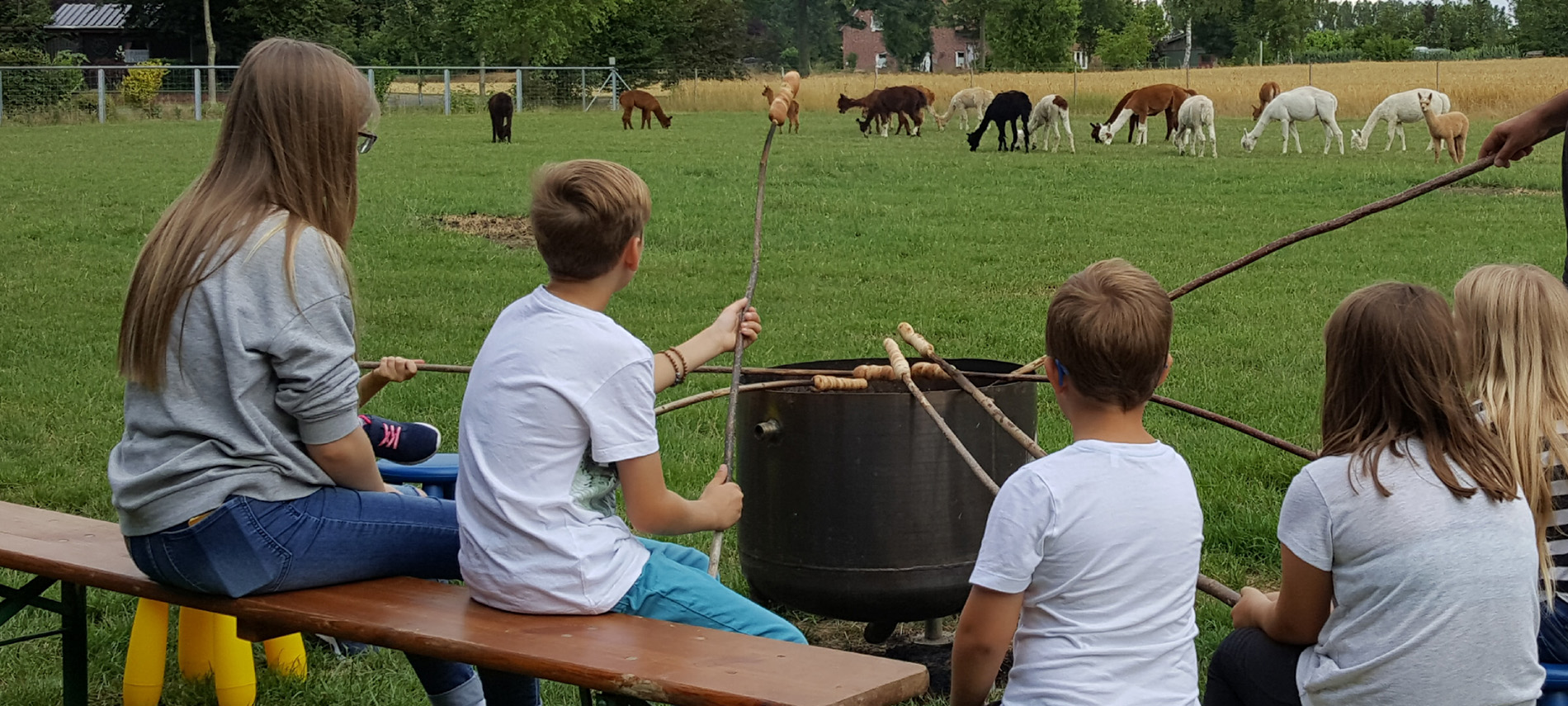 Kindergeburtstag auf Alpakafarm