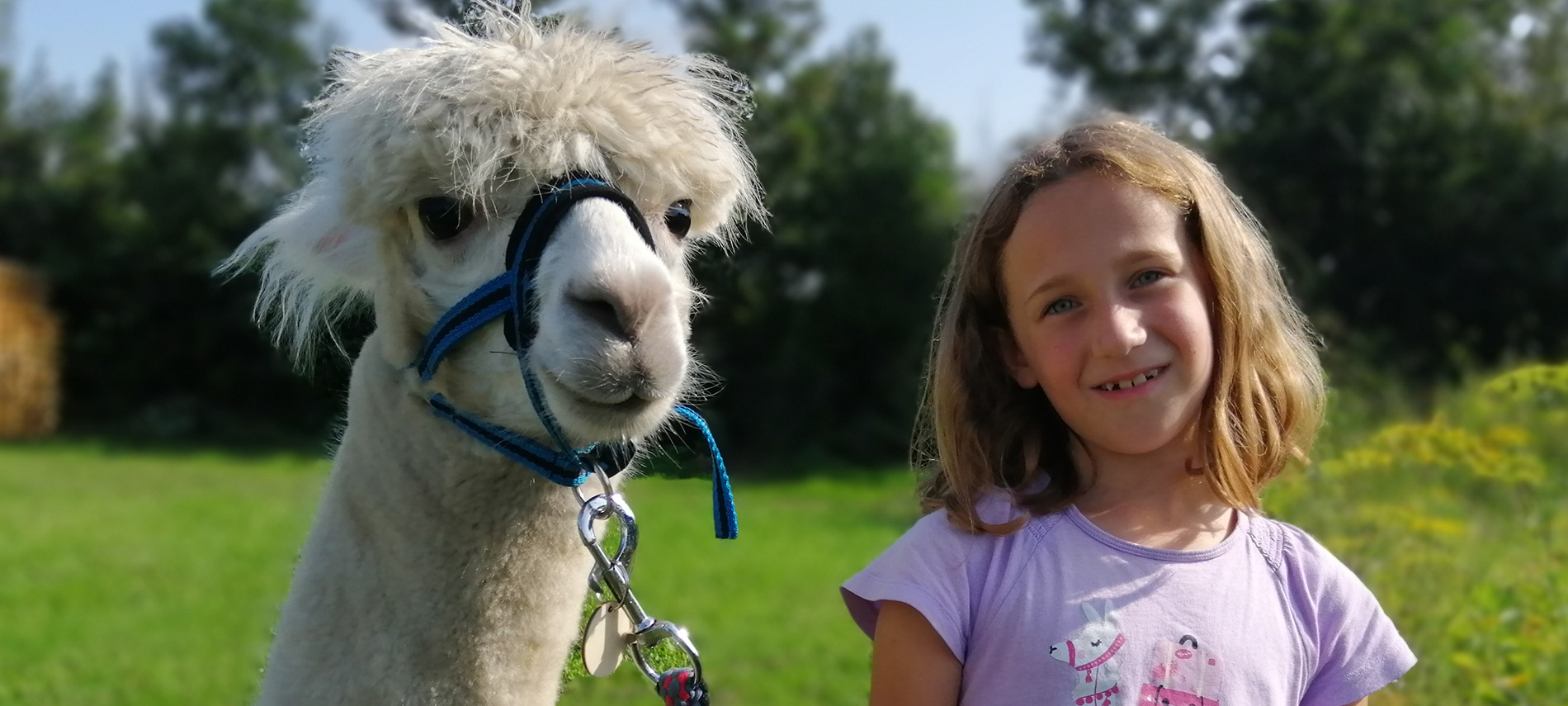 Alpaka Events Kindergeburtstag Wanderung